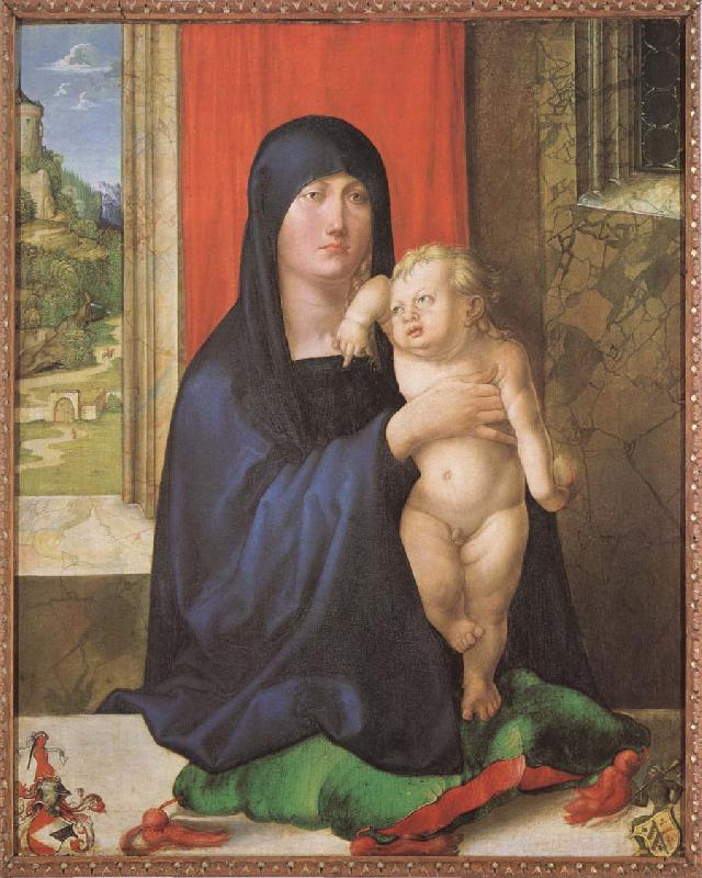 Albrecht Durer Madonna and child Germany oil painting art